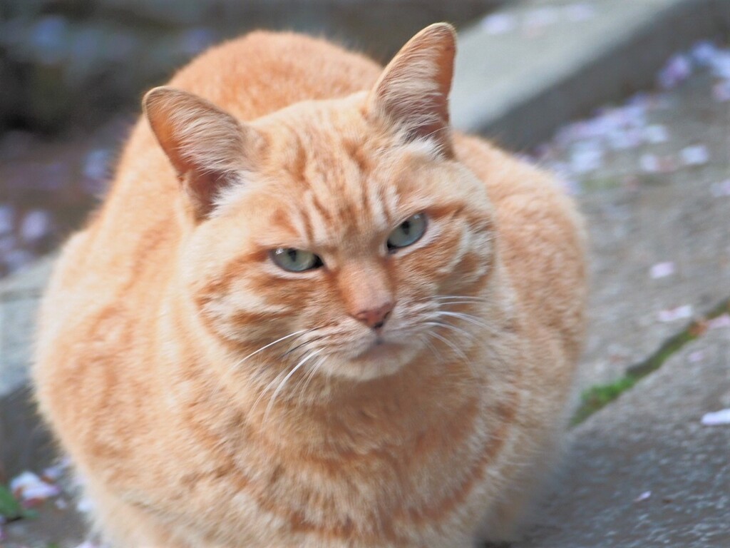 なめんなよ