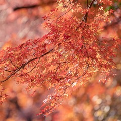 IMG_20191217_100521_236