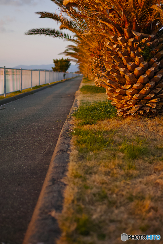 遊歩道