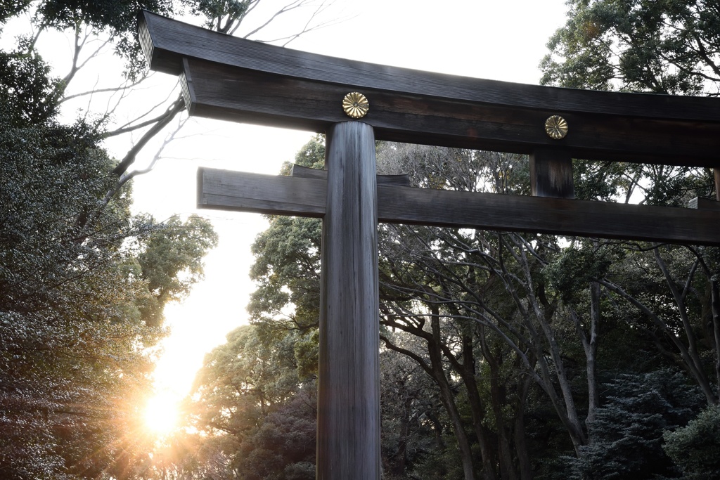 明治神宮の鳥居