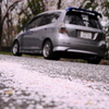 さくらの絨毯越しの愛車
