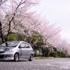 愛車とさくら