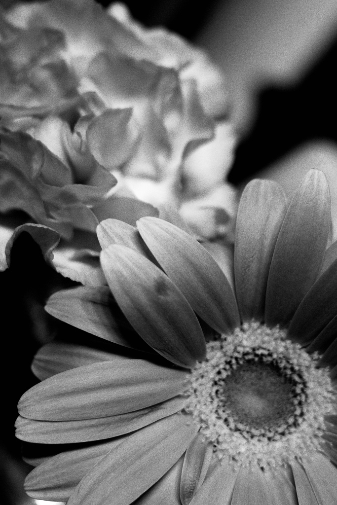 Flowers on table.