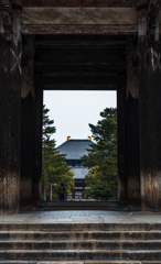 奈良公園