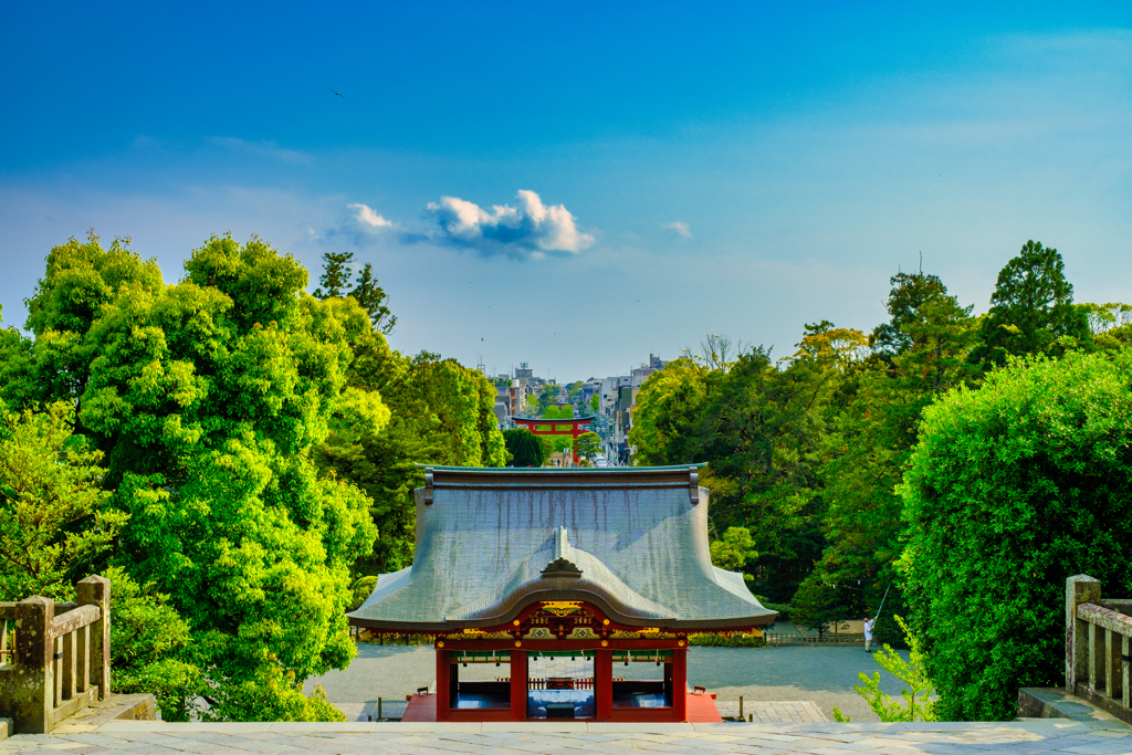 街を望む