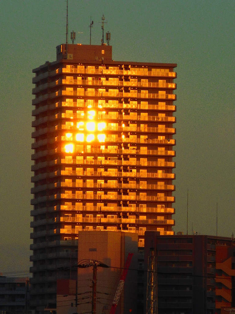 夕陽を浴びて