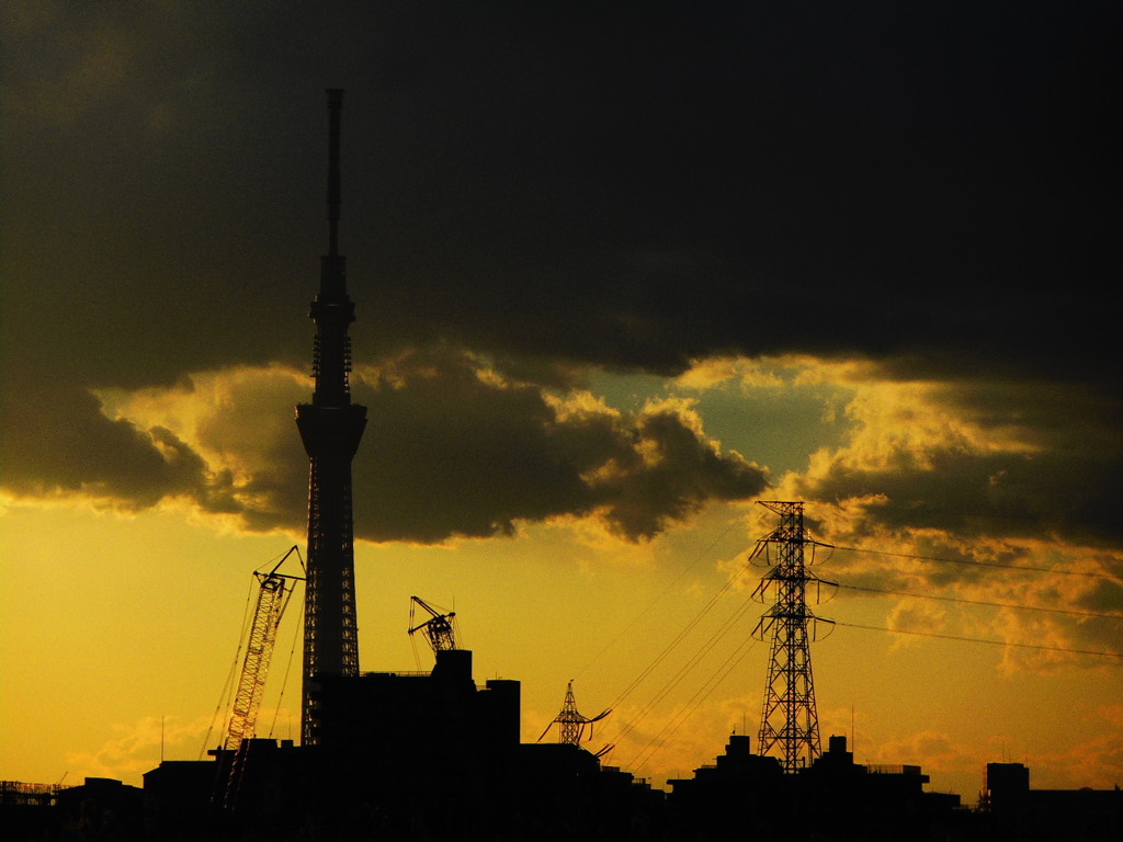 夕景