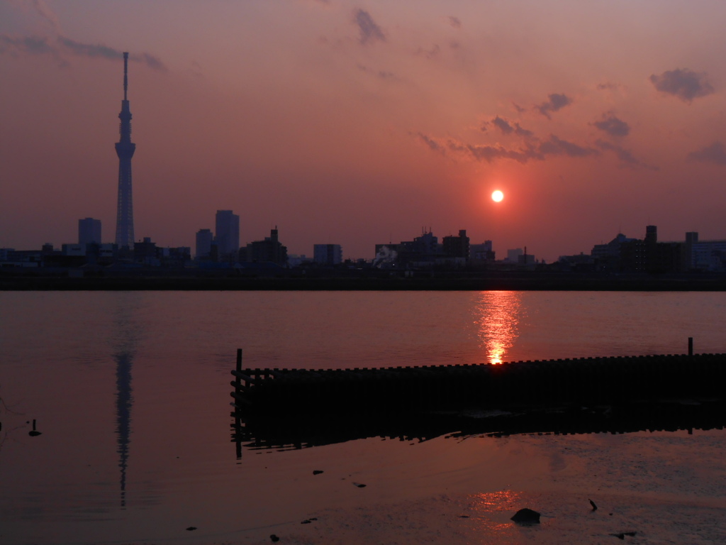 スカイツリーと夕陽