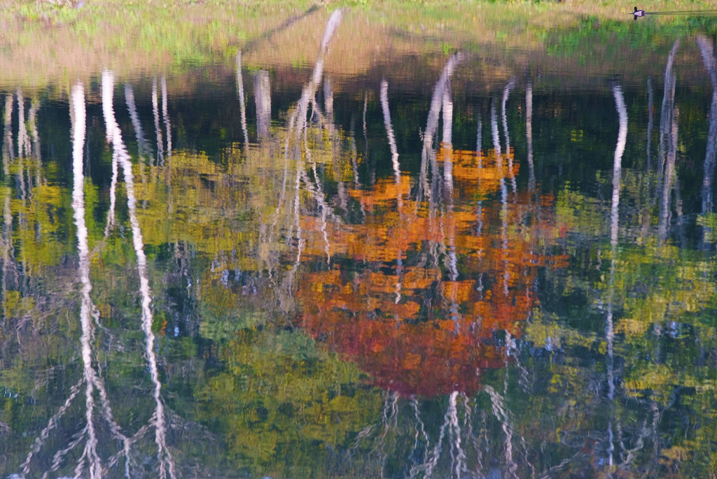 水辺の秋　2008長野県