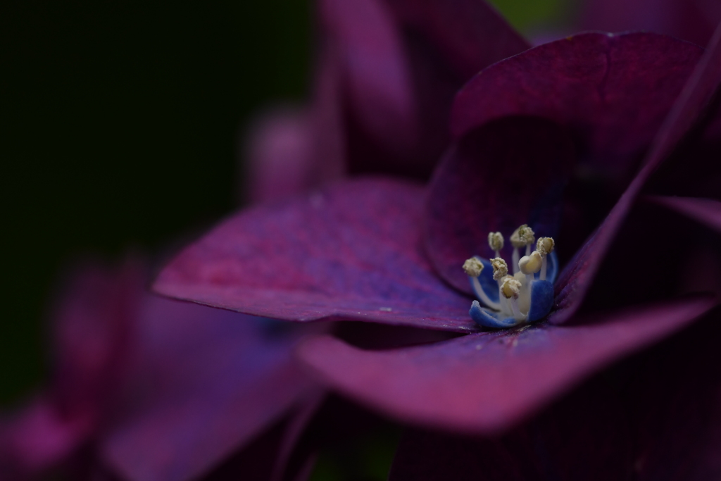 雨花