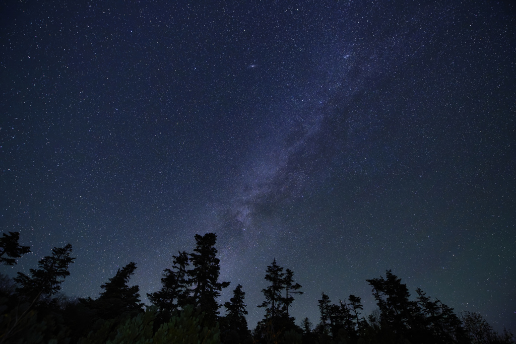 満天の星屑