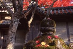 2002京都西明寺002