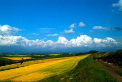 北の大地　2007北海道美瑛（２）