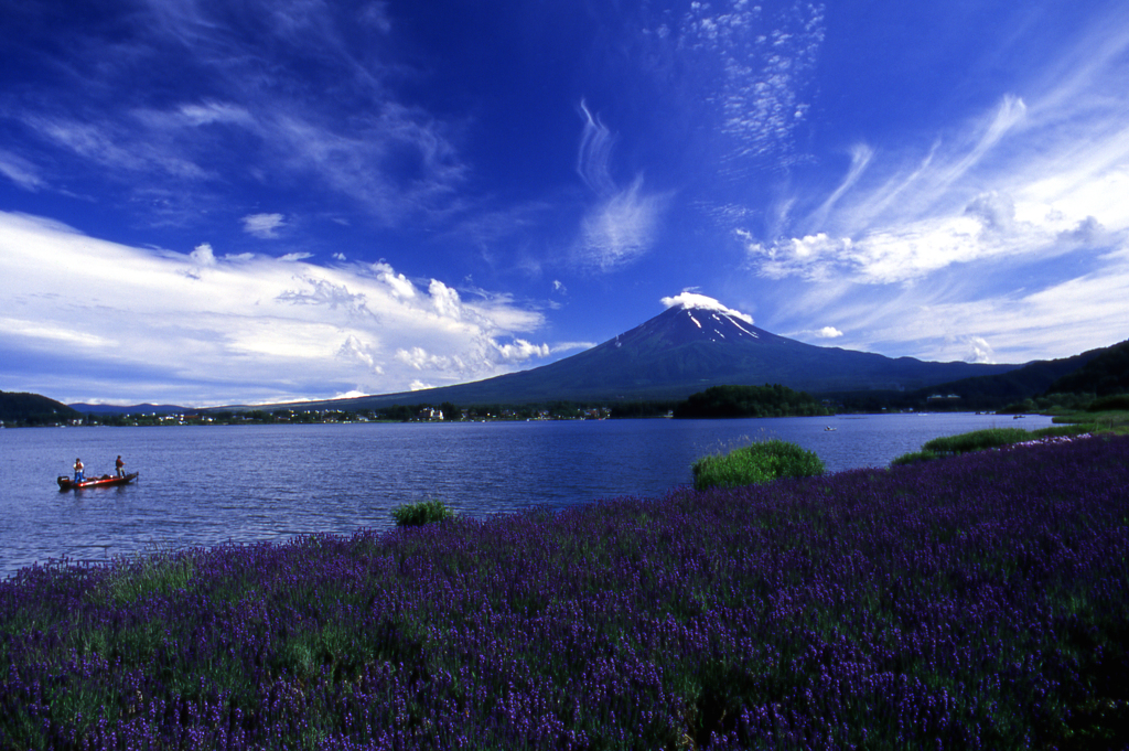 初夏の富士山（河口湖）