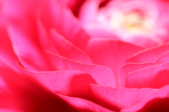 花波Ⅱ