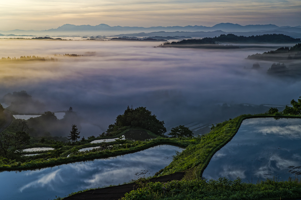 棚田の夜明け