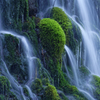 涼苔の流れ