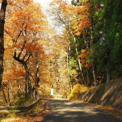 八方ヶ原