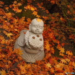 永源寺　もみじ寺