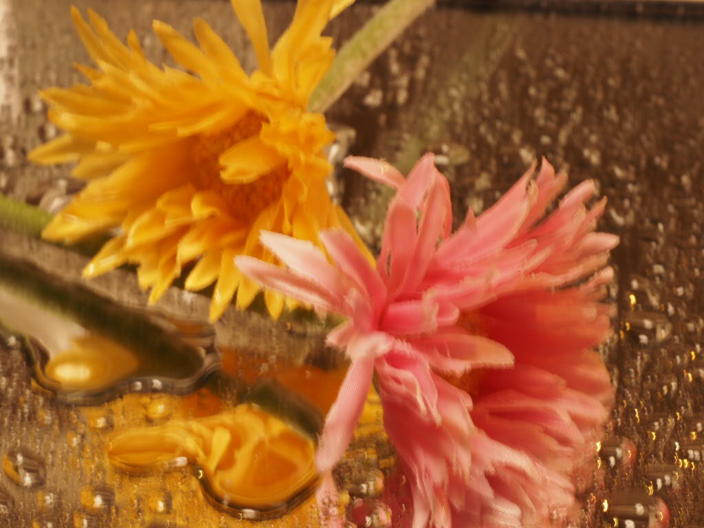 水滴