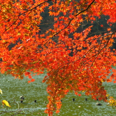 井頭公園
