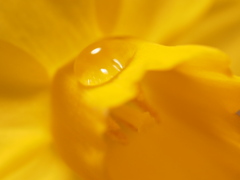 水滴