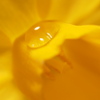 水滴