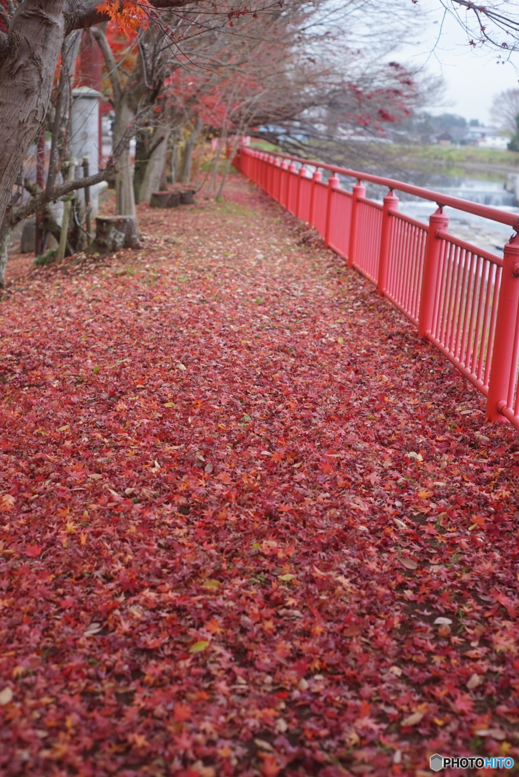 大前神社