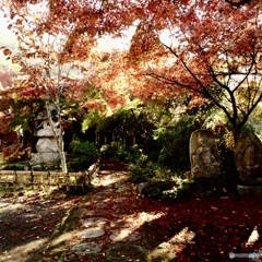 薬王寺
