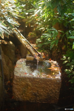 薬王寺