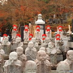 永源寺　もみじ寺