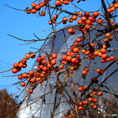 久下田公園