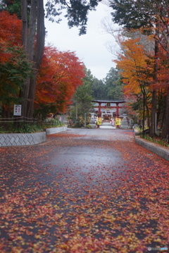 大前神社