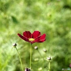 7BA0F919-E732-4471-85DD-C1A17AFFB08A
