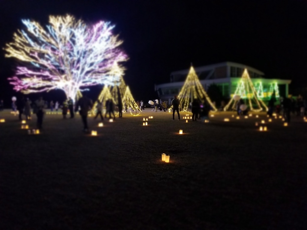 国営越後丘陵公園タ