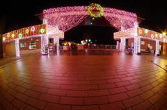 越後長岡丘陵公園s