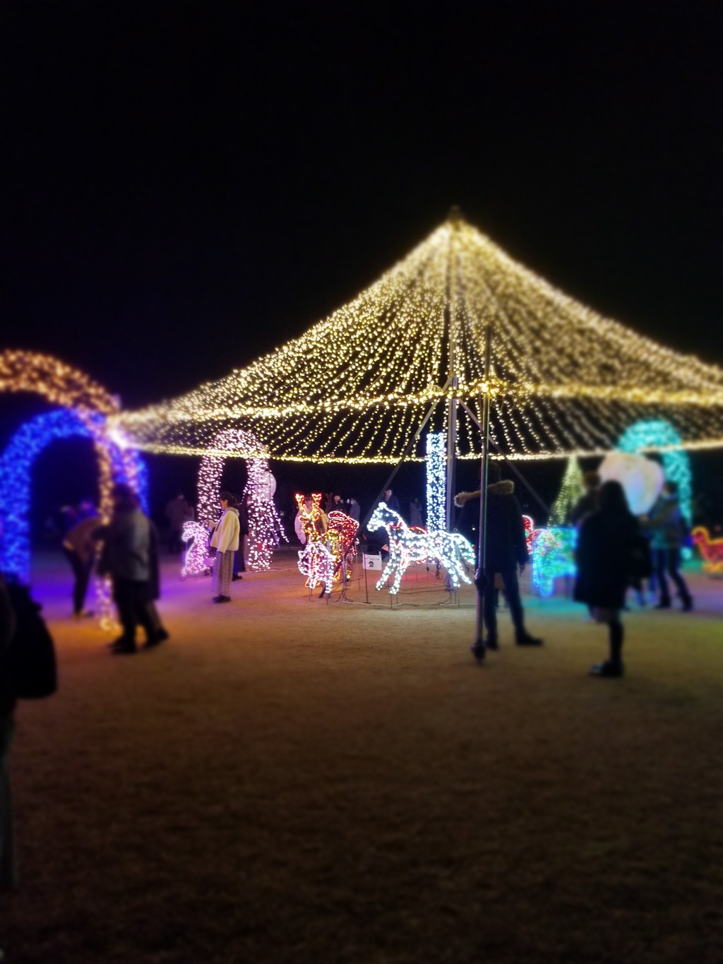 国営越後丘陵公園タ
