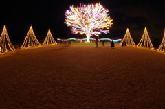 越後長岡丘陵公園s