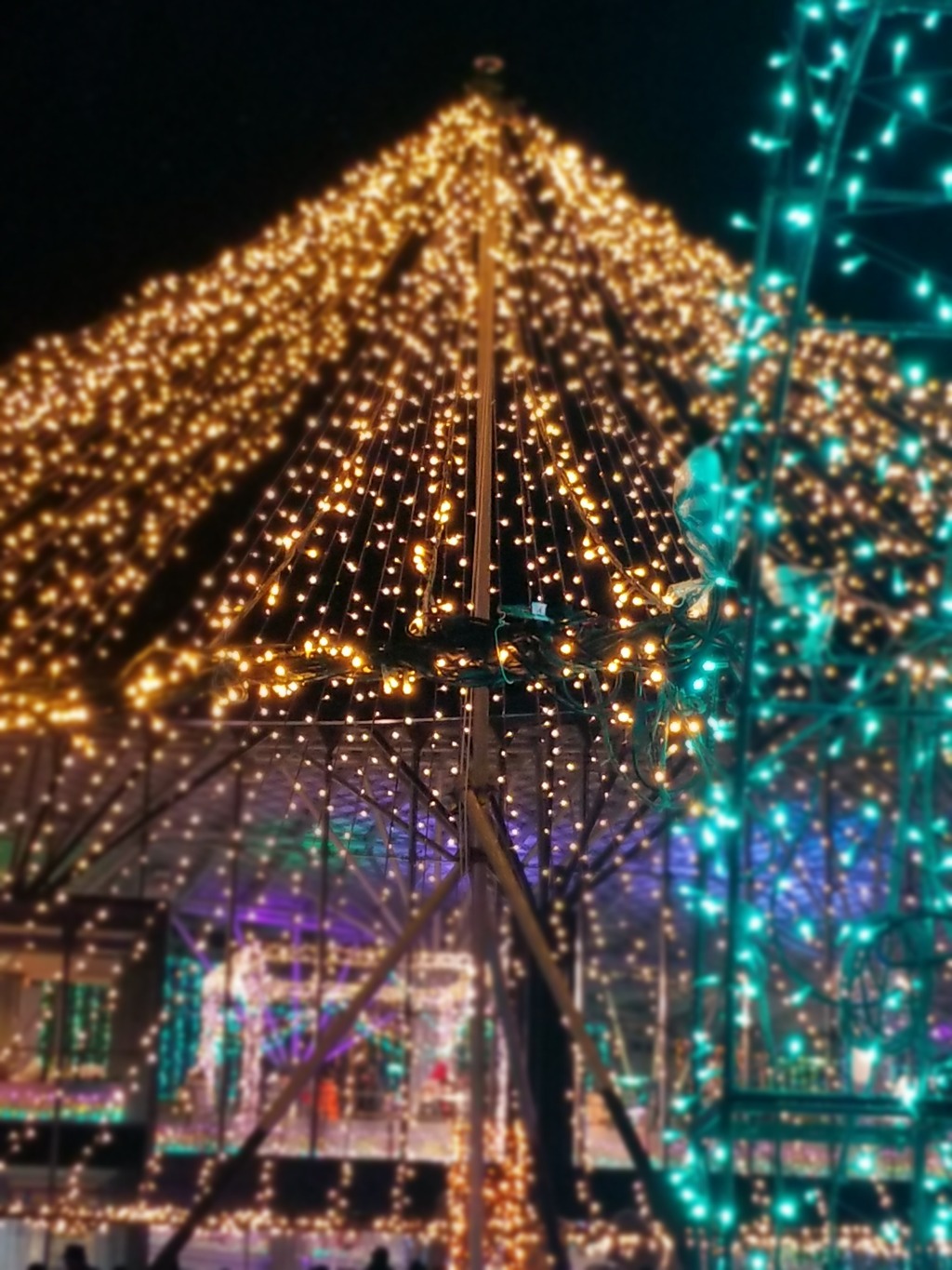 国営越後丘陵公園タ