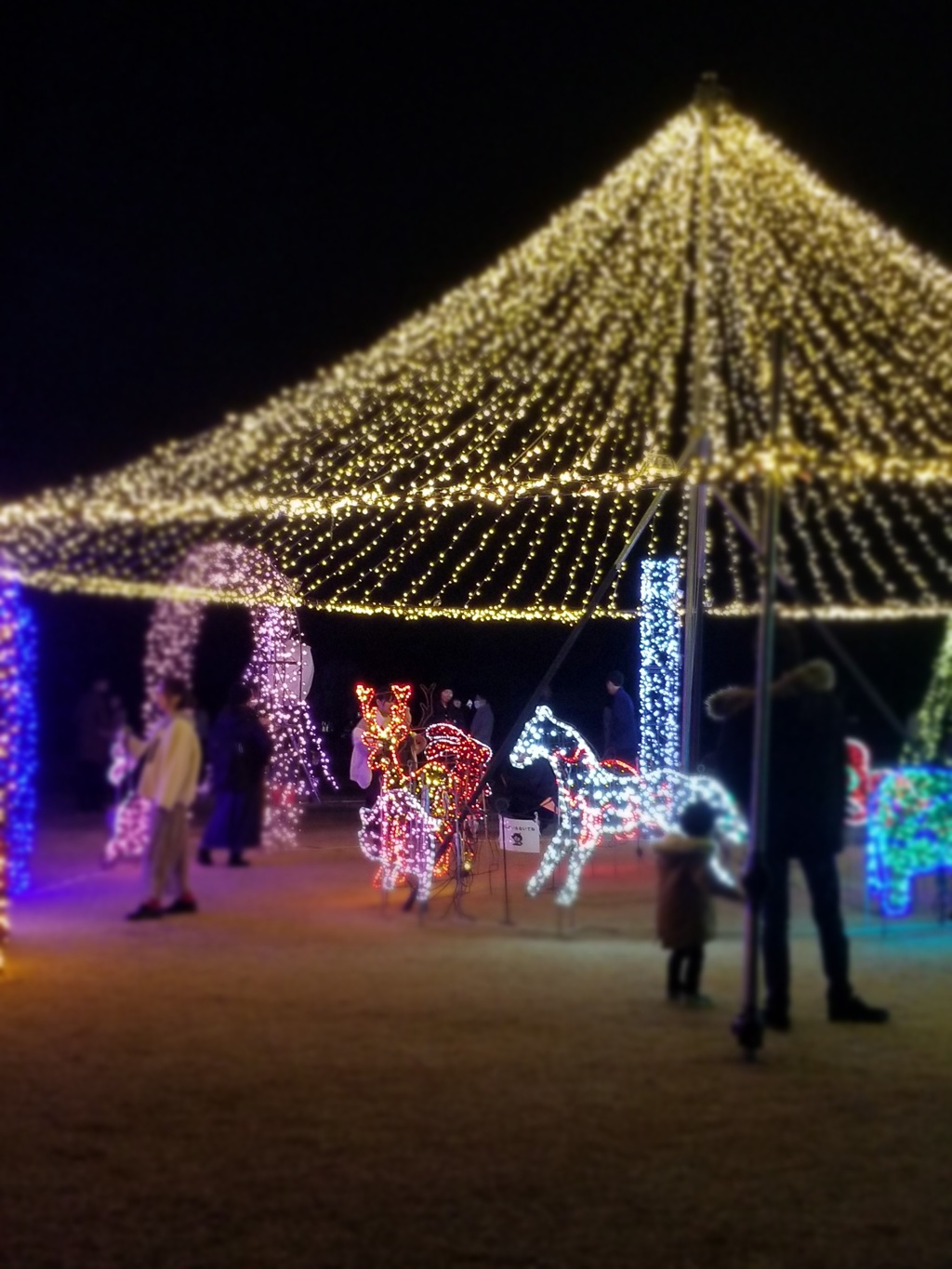 国営越後丘陵公園タ