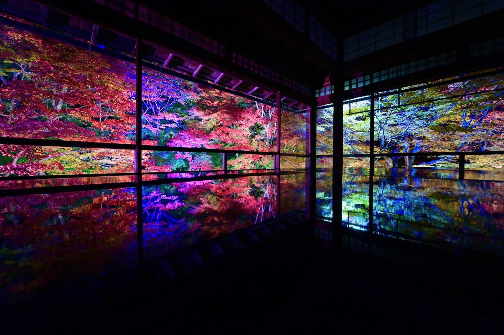 夜の瑠璃光院