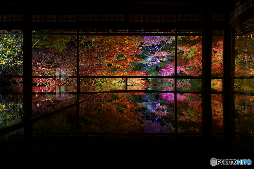 夜の瑠璃光院　その２