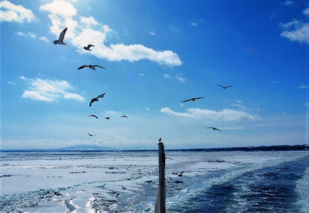 氷の海原を行く