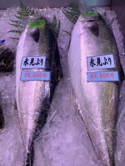 冬・北陸の旅⑧