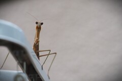 こんにちは！