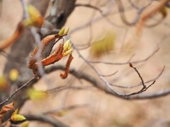 別れと出会い☆☆