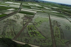 田んぼアート