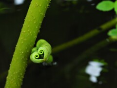 僕は地下に空気を送っているよ～