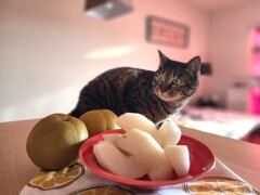 梨、届いたよ～
