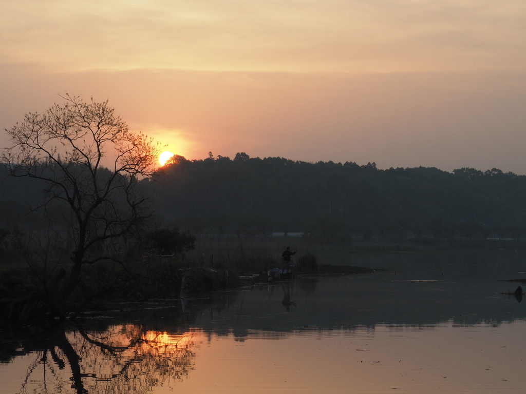今尚・・・早朝散歩①